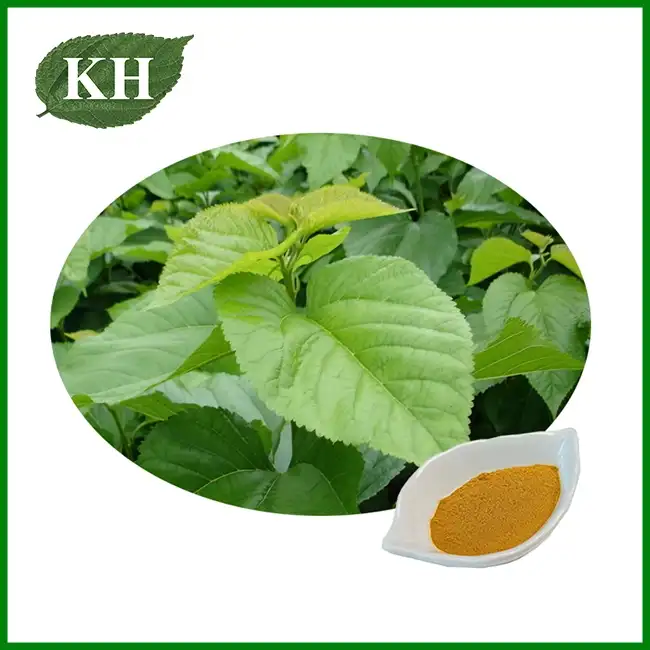 Mulberry Leaf Extract Powder